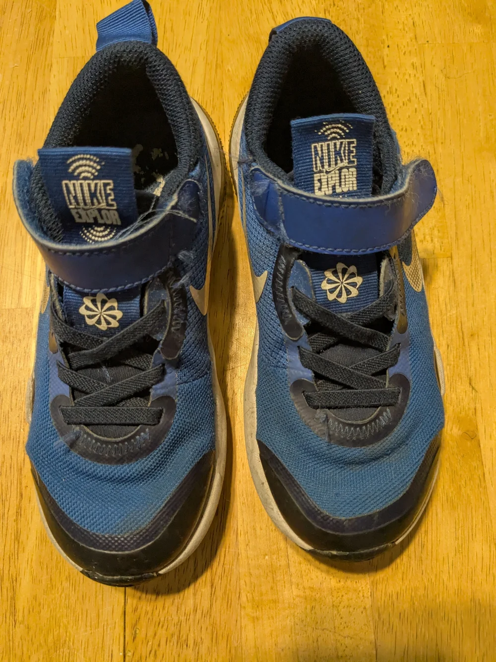 Nike Kids Blue Athletic Sneakers with Hook-and-Loop Strap
